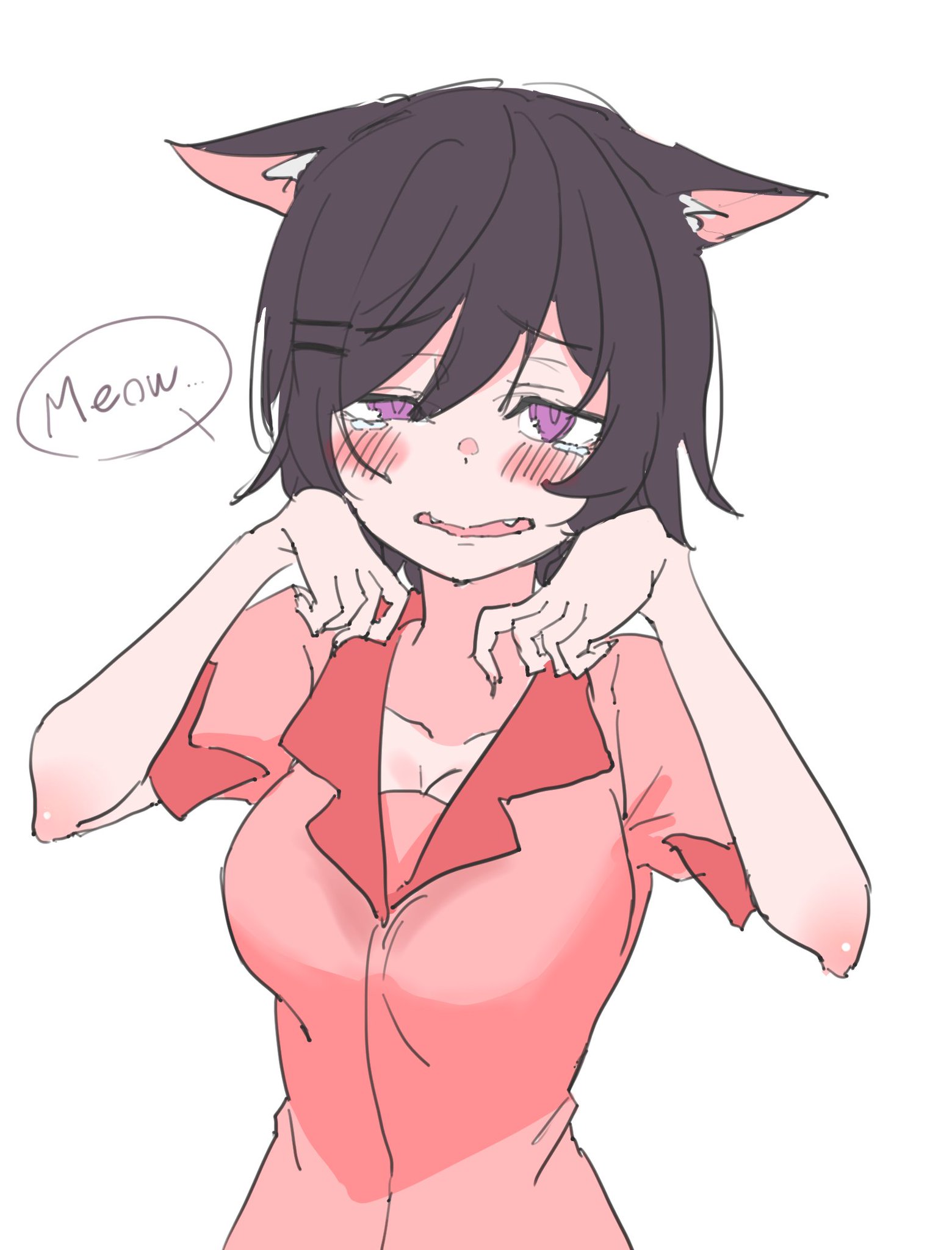 猫に魅せられた少女　羽川翼 ヴァイスシュヴァルツ 化物語 猫に魅せられた少女 羽川翼 SP