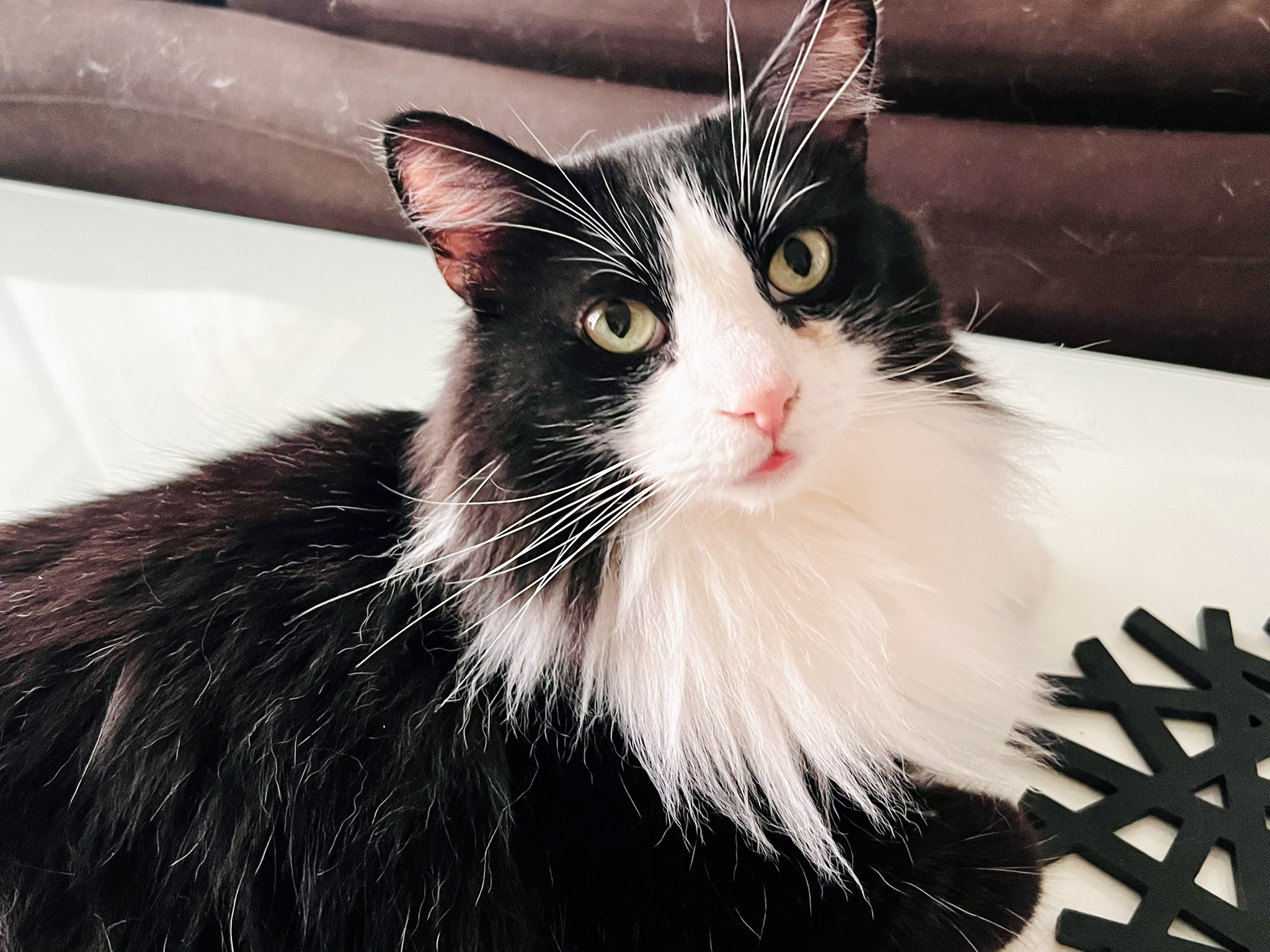 ※Sogoページ　　ホットクック maxresdefault.jpg