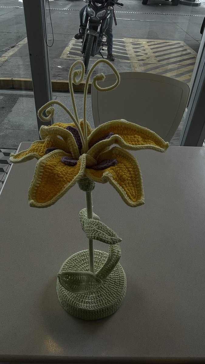 Me regalaron la flor amarilla más linda 🥹