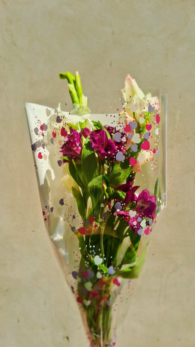 Hoy esperté y lo primero q vi fue a mi novio en la puerta de mi pieza con un ramo de flores, jamás voy a recuperarme emocionalmente, y no cualq flor, de mi color favorito