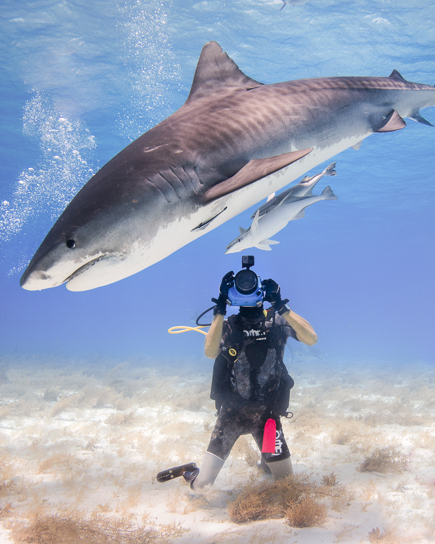 TheOhanaFest's tweet image. Meet more of our 2025 Storytellers 👇

Ben Moon – Award-winning filmmaker, photographer, and author.
Mike Coots – Surfer, photographer, and shark attack survivor. 

Listen to their stories at The Cove, only @ #OhanaFest! See the full Storytellers schedule: ohanafest.com/storytellers