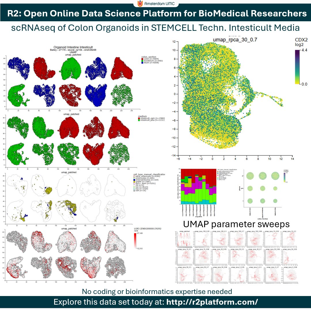 r2_platform's tweet image. New public single cell resource in r2platform.com
Intestinal organoids grown in Intesticult media from @STEMCELLTech .
R2 Open Online Data Science Platform for Biomedical Researchers
#science #research #genomics