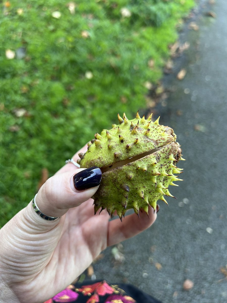 Hazel Gardner tweet media