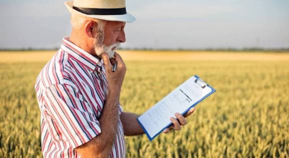 📈 Właśnie GUS podał dane: w 2024 roku dochód z jednego hektara przeliczeniowego to aż 5429 złotych. Brzmi jak bajka, prawda? Polski rolnik niby zgarnia tysiące z każdego ha, ale to tylko pozory – w praktyce to czysta iluzja.

🔍 Jak właściwie GUS to oblicza?

Wrzuca do jednego