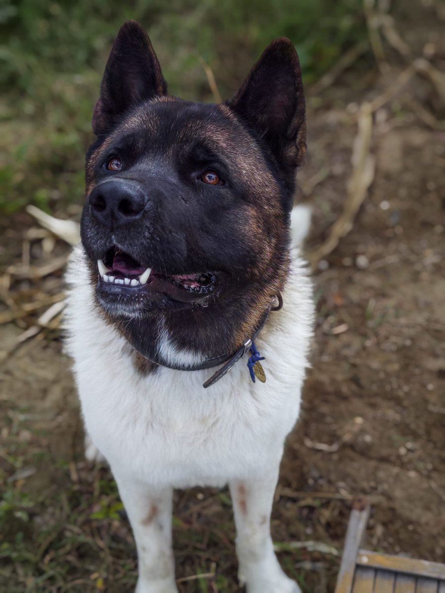 Benim canlarım 🤲❤️