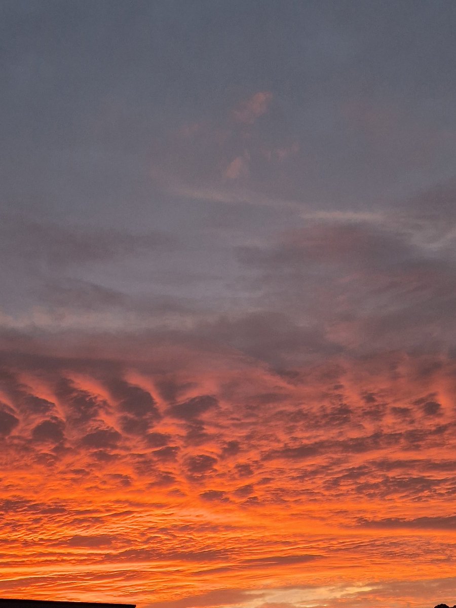Ciel de feu ce soir 🤩🤩
Qui pourrait m expliquer ce phénomène ? 
#Merci