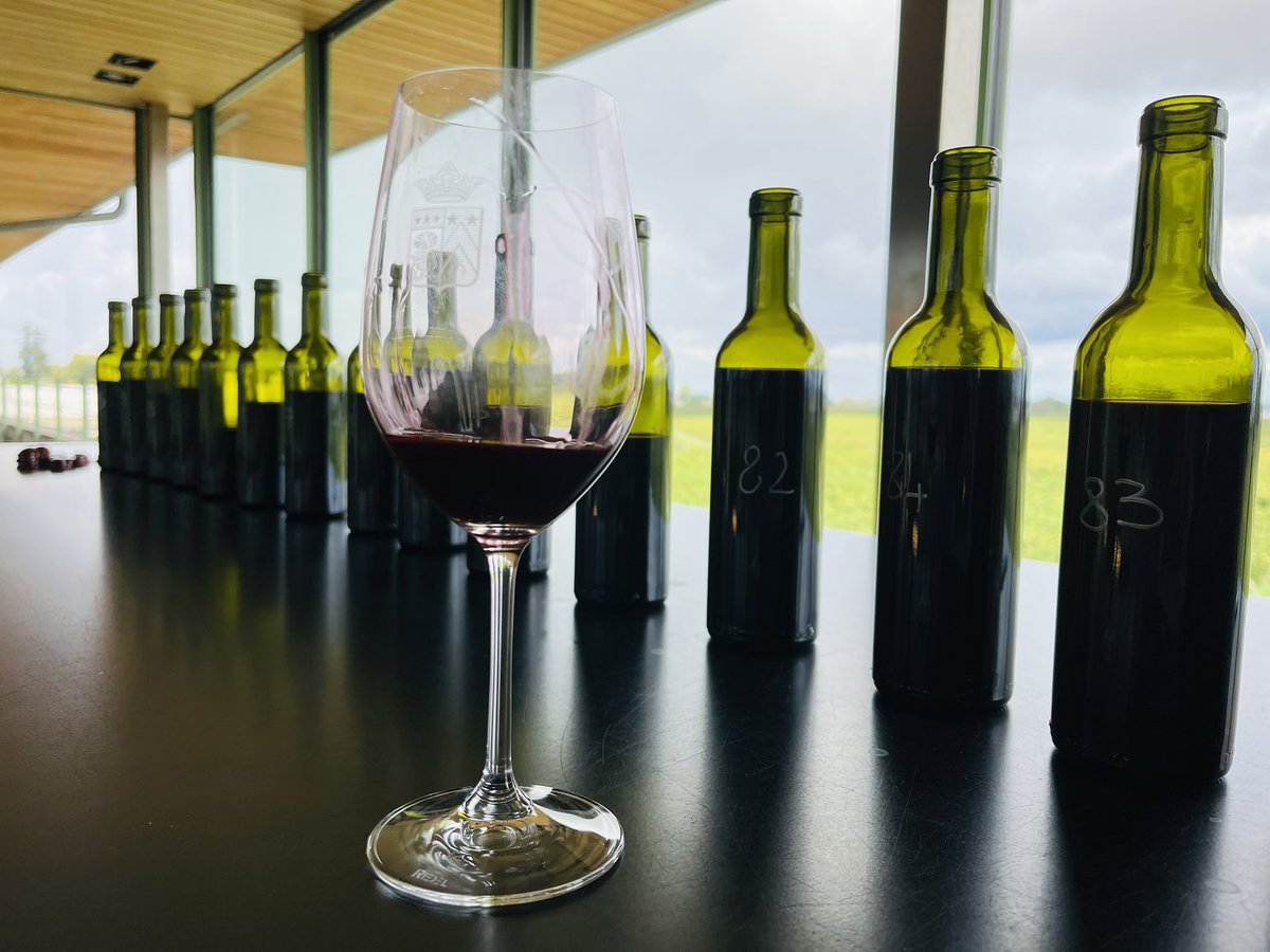 Pichon Comtesse 2025 - Day 14 - Tasting Merlots whose alcoholic fermentation is over - It’s intense, sweet, velvety and aromatic - Blueberries &amp; blackberries - yummy !!! 😋
#PichonComtesse #TheBestIsYetToCome