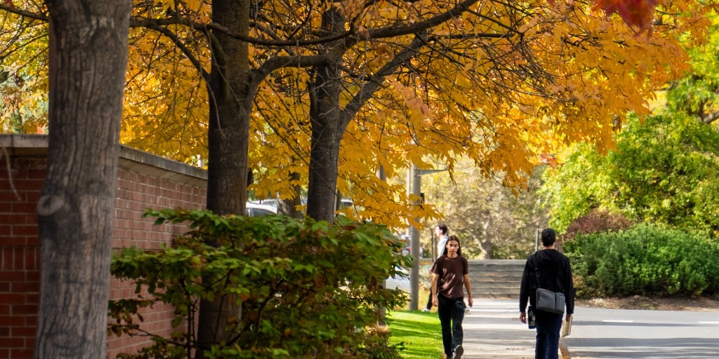 uidaho's tweet image. When the leaves change, so does the view. 🍂 Can&apos;t wait till campus is glowing. #FirstDayOfFall