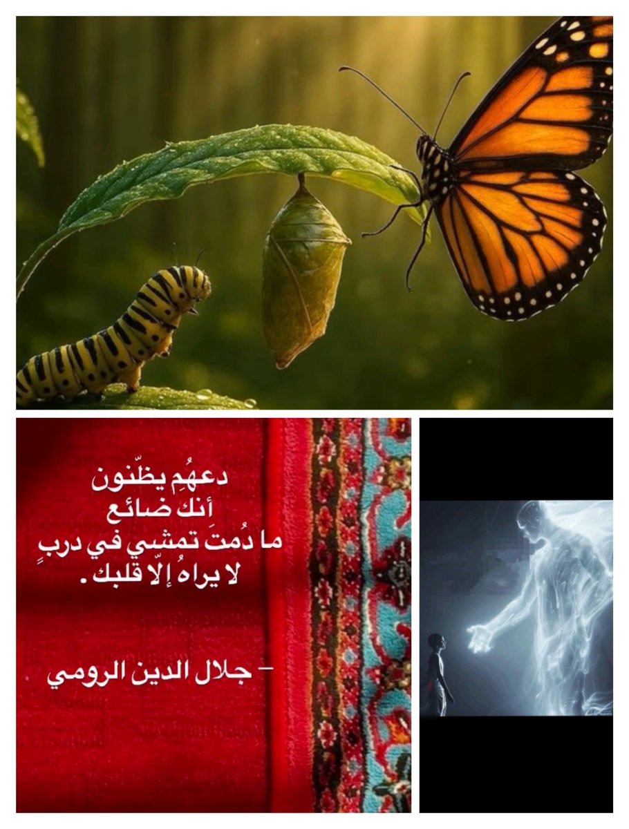 HagerFayed11 tweet picture