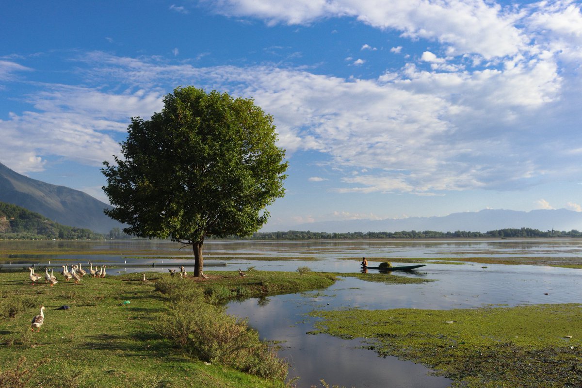 amaanbhat_'s tweet photo. A man rows his boat in Wular Lake, Asia’s second-largest freshwater lake, on September 06, 2025, in Bandipora district of north Kashmir, India.

Photo: Amaan Bhat

#wularlake #bandipora #kashmir https://t.co/D1iPegRscc