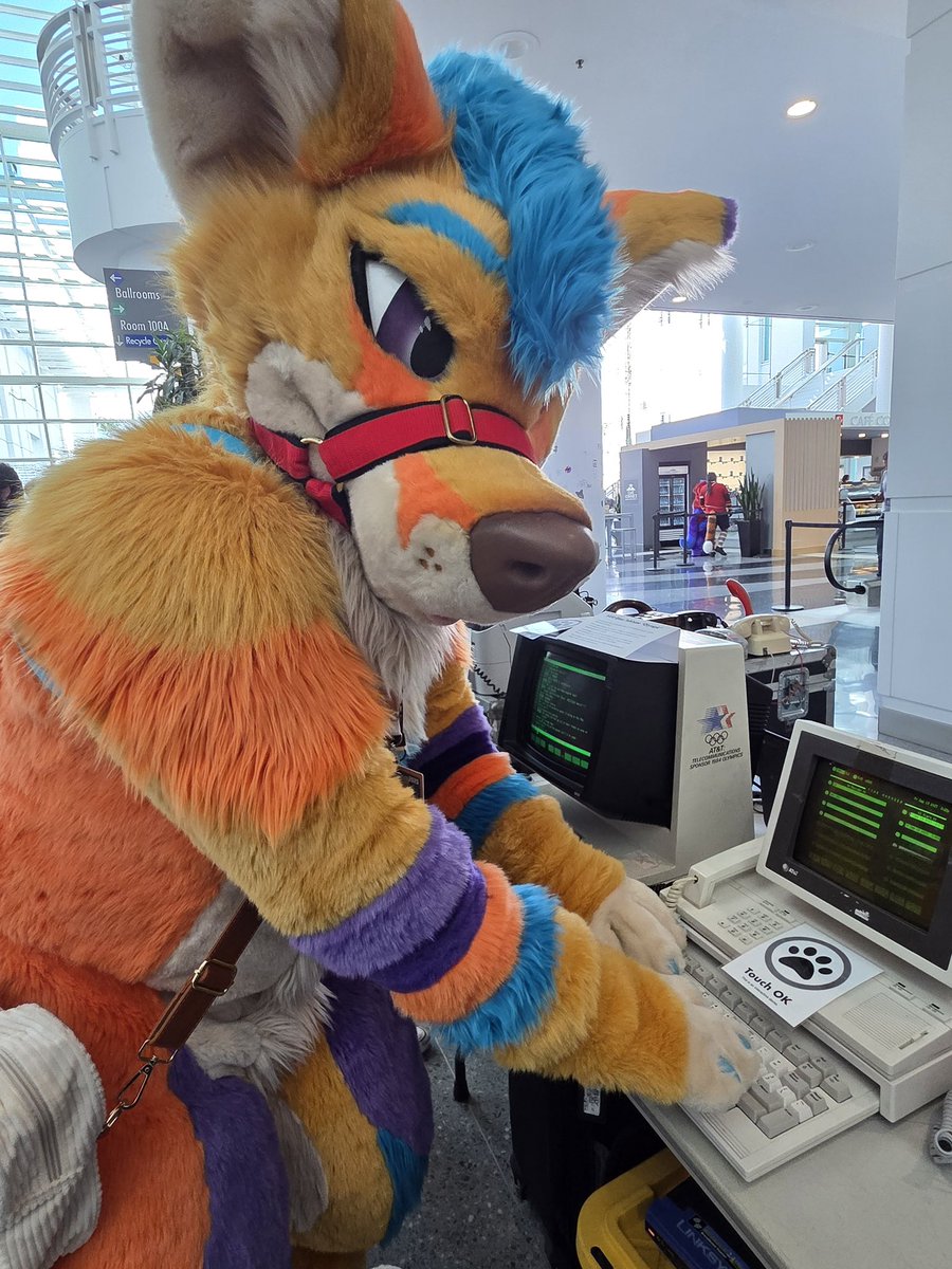 It’s Monday, and I’m back at the work grind after a very fun weekend at AFC!  Gosh I miss being a fluffy yote already.  

I’ll be doing a special AFC recap stream tonight at 530pm!  

twitch.tv/kodeyyotey