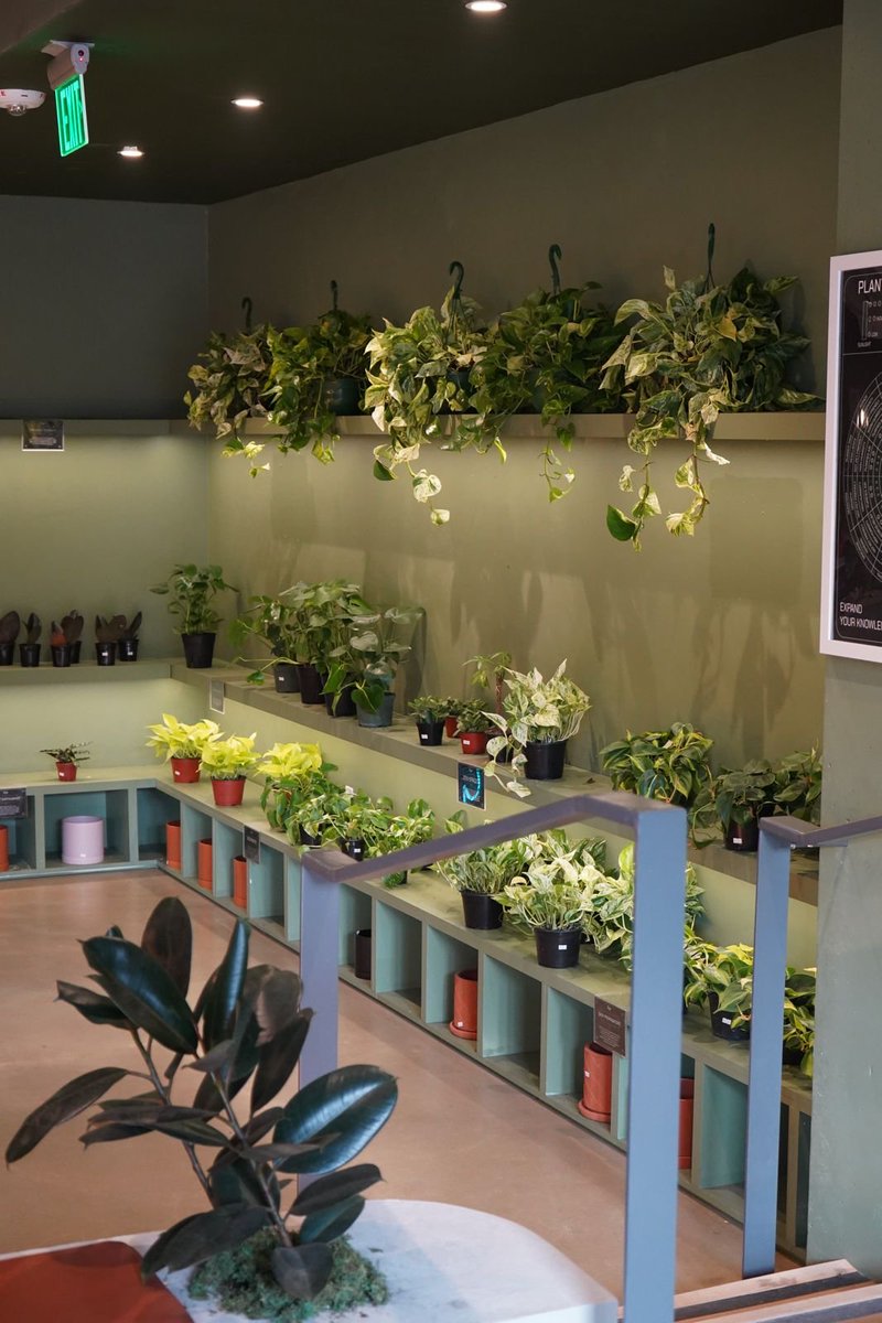 MayorBowser's tweet image. When we hire DC businesses, DC businesses hire DC residents and pay DC taxes—and that&apos;s how we can have great schools, great parks, great transportation, and safe streets.

We&apos;re focused on keeping our residents and businesses growing right here in the District.