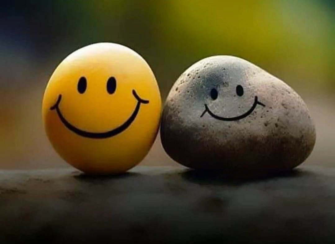 Umair 🤎🧸 عمیر علی tweet media