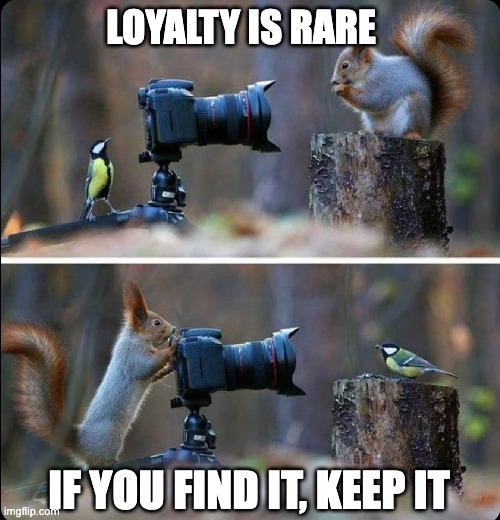 Stephen MΞSNILDRΞY 🍿 tweet media