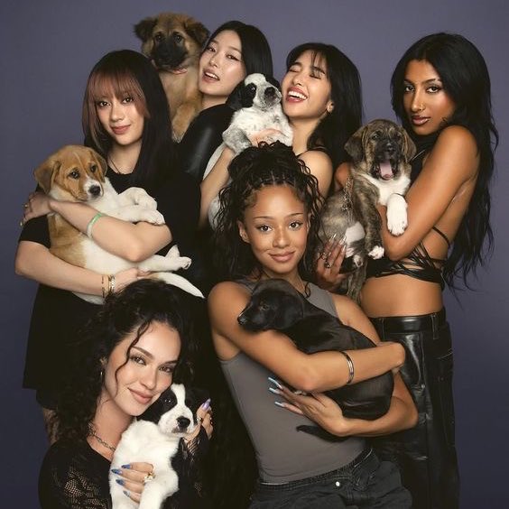 the music my gf is into   vs   the music i’m into