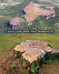 aerovimana's tweet image. 🎶What Have They Done To TheEarth🌐🎶
🎶What Have They Done To Our Fair Sister🎶 ~ @JimMorrison @TheDoors

#BearClawMountain #AncientGiantTrees #CloseEncountersOfThe3rdKind #ufotwitter