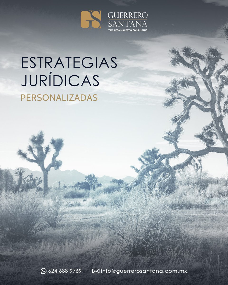 GS_firm's tweet image. At Guerrero Santana, we craft tailored legal strategies to resolve your most critical tax and litigation matters. We represent businesses before local and federal authorities, delivering strong defense in audits, and more...
Contact us: 52 624 688 9769
#ComprehensiveSolutions