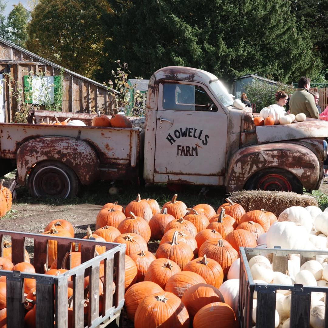 Niagara Economic Development tweet media