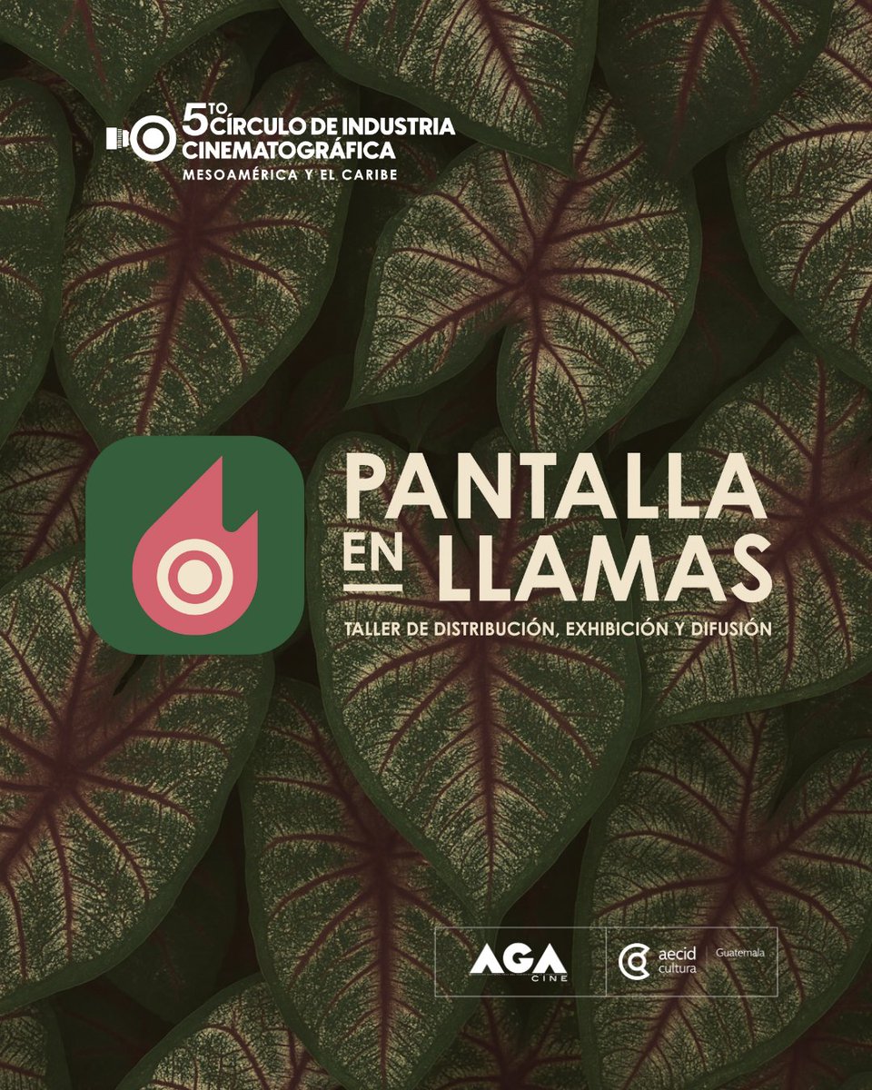 CCEGUATEMALA's tweet photo. 🎬 El Círculo de Industria Cinematográfica celebra su 5ª edición
🗓️ Del 23 al 26 de septiembre de 2025 este encuentro regional busca fortalecer las redes de distribución, exhibición y difusión cinematográfica en Mesoamérica y el Caribe 🎞️.

+ info en https://t.co/LxUuRu7FS0 https://t.co/3amq6bicfL
