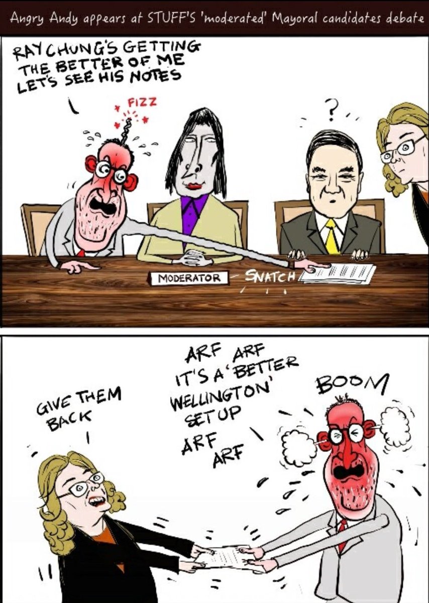 🤣🤣
Whoever drew this cartoon made Ray look like a Japanese politician. Andrea Vance resembles Helen Clark. 
They got Andrew Little correct though. He's a hothead who'll have the council paying out to settle legal actions. Just wait for Scenic Circle Part 2 ...