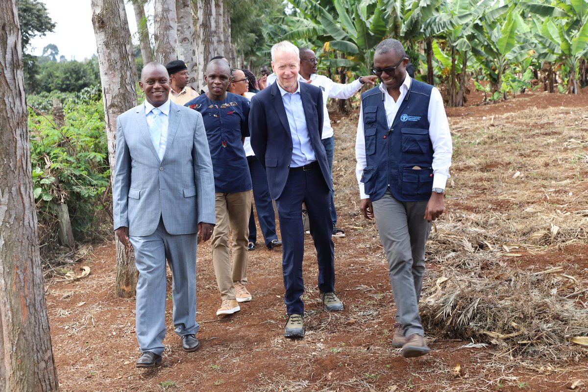 FAO in Kenya tweet media