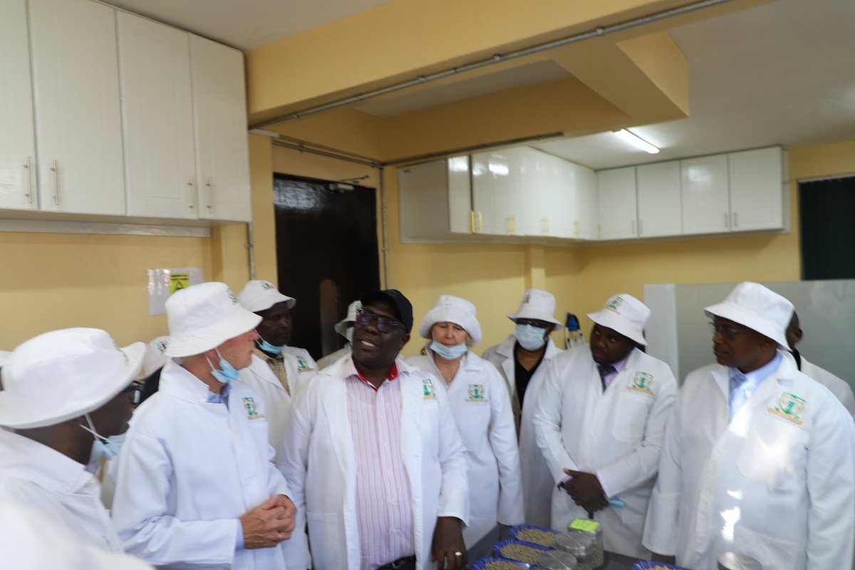 FAO in Kenya tweet media