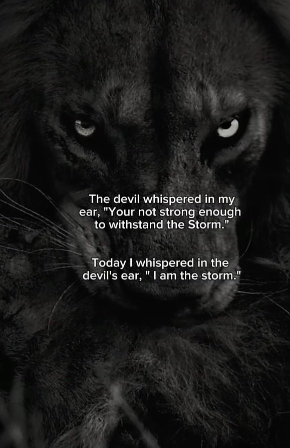 Faran_Champion's tweet image. Today Report

⬛Daily=438 pips

🟢Monthly =7045 pips

🟦Yearly(from May) =21957 pips

Enjoy Night DEALERS 💯😎
FC. 

#USDJPY  #EURUSD #PIPSDONE 
#GOLD #XAUUSD #Trump #FinanceTips