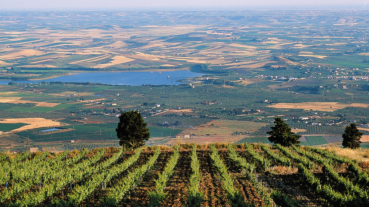 Poltrone, all'Agricoltura torna Luca Sammartino - mailchi.mp/caccf8706a7c/p…