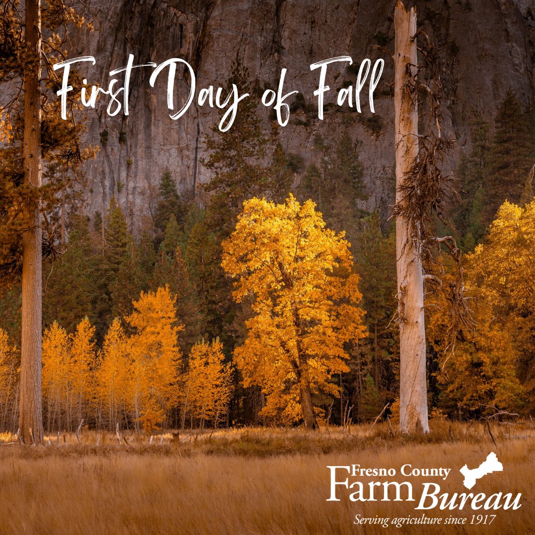 The #AutumnalEquinox is here! 🍁🍂🎃
Coinciding with the first day of Fall, the Autumnal Equinox marks when the days and nights are roughly equal in length, welcoming cooler days (soon enough here in the Valley), golden leaves and a different harvest season as we wrap up the