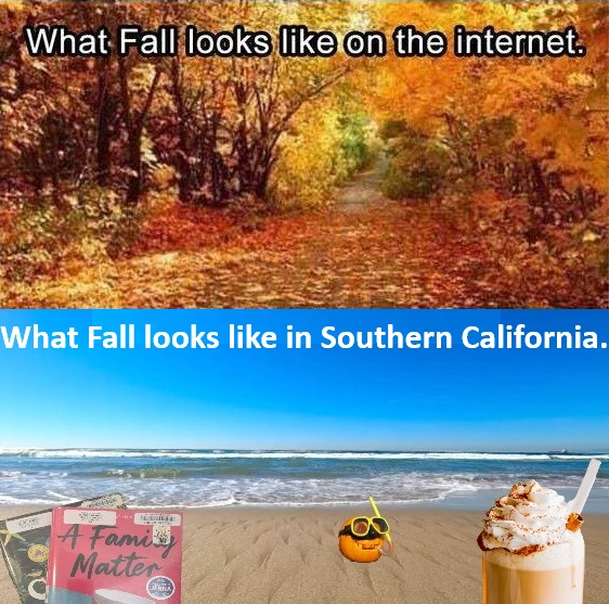 ocpublib's tweet photo. Happy Autumn Equinox! In Southern California, you have to crank up the AC to get those fall feels. Visit your local branch for a cold spell, Autumn reads, and sweater vibes. #OCPL #OCPublicLibraries #OrangeCounty #fall #autumnequinox #expectationsvsreality https://t.co/9iTnbMf3QJ