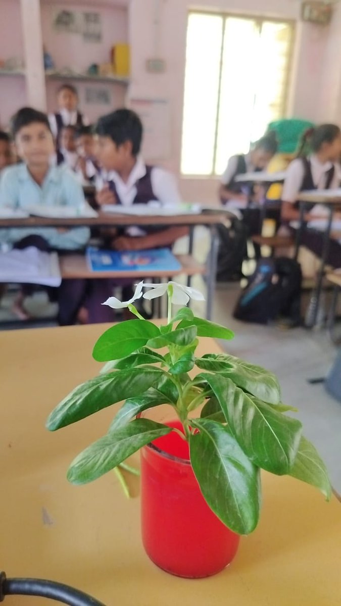 SchlTatana1982's tweet image. #learnscience