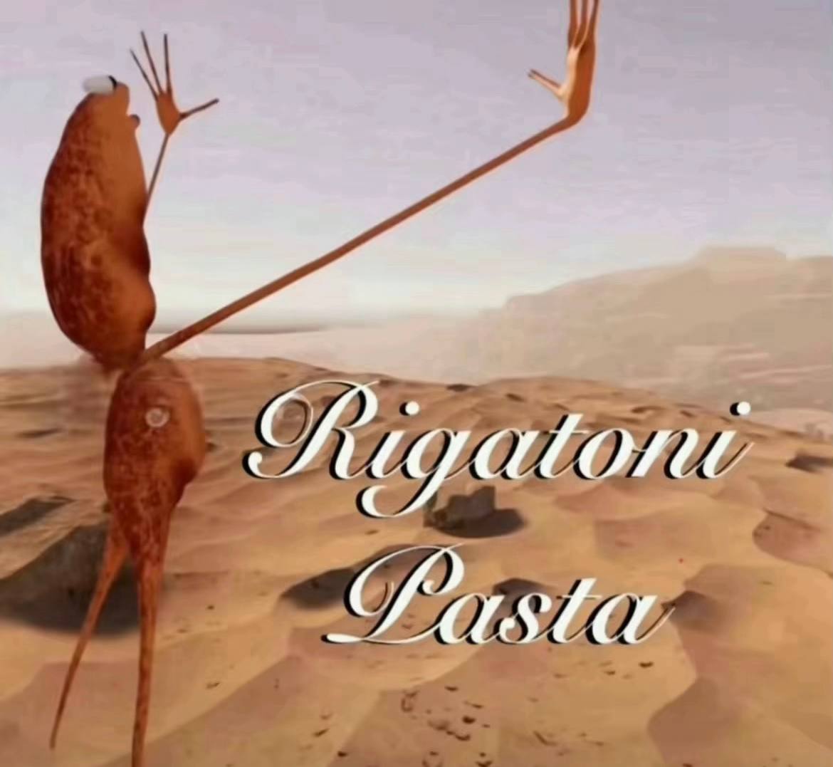 MarcusOnSolana's tweet image. in the end, what matters? nothing.. right?

so you make it for yourself

you make your rigatoni pasta