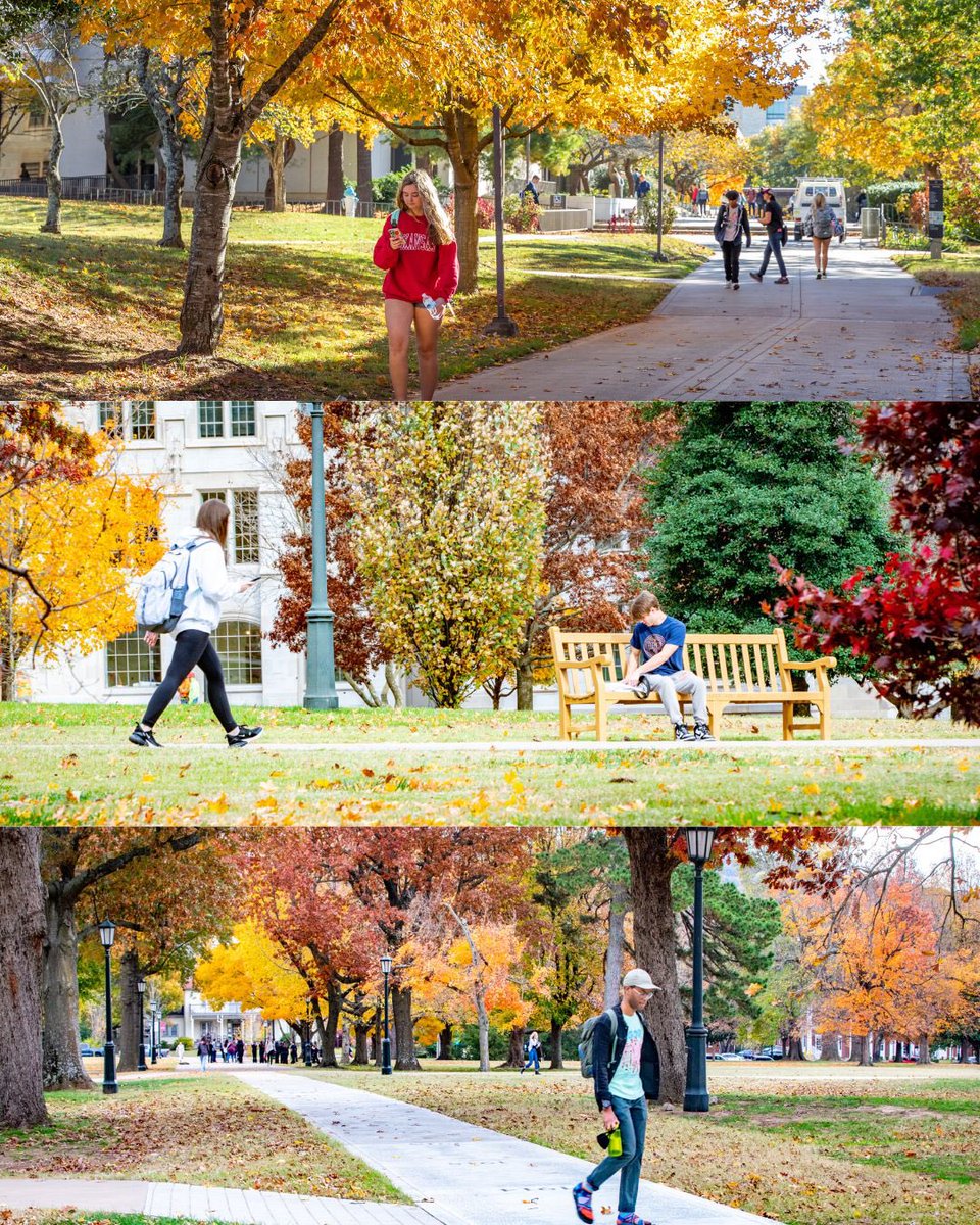 Fall on the Hill loading…