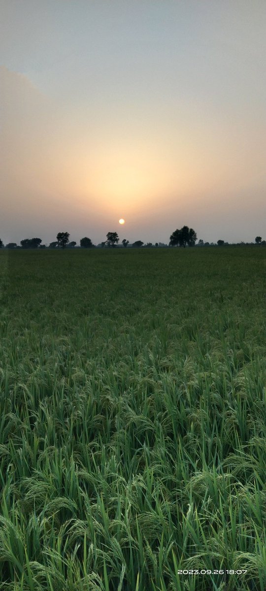 middukhera_'s tweet photo. @brarrmandeep https://t.co/kZ3ap6yqnh