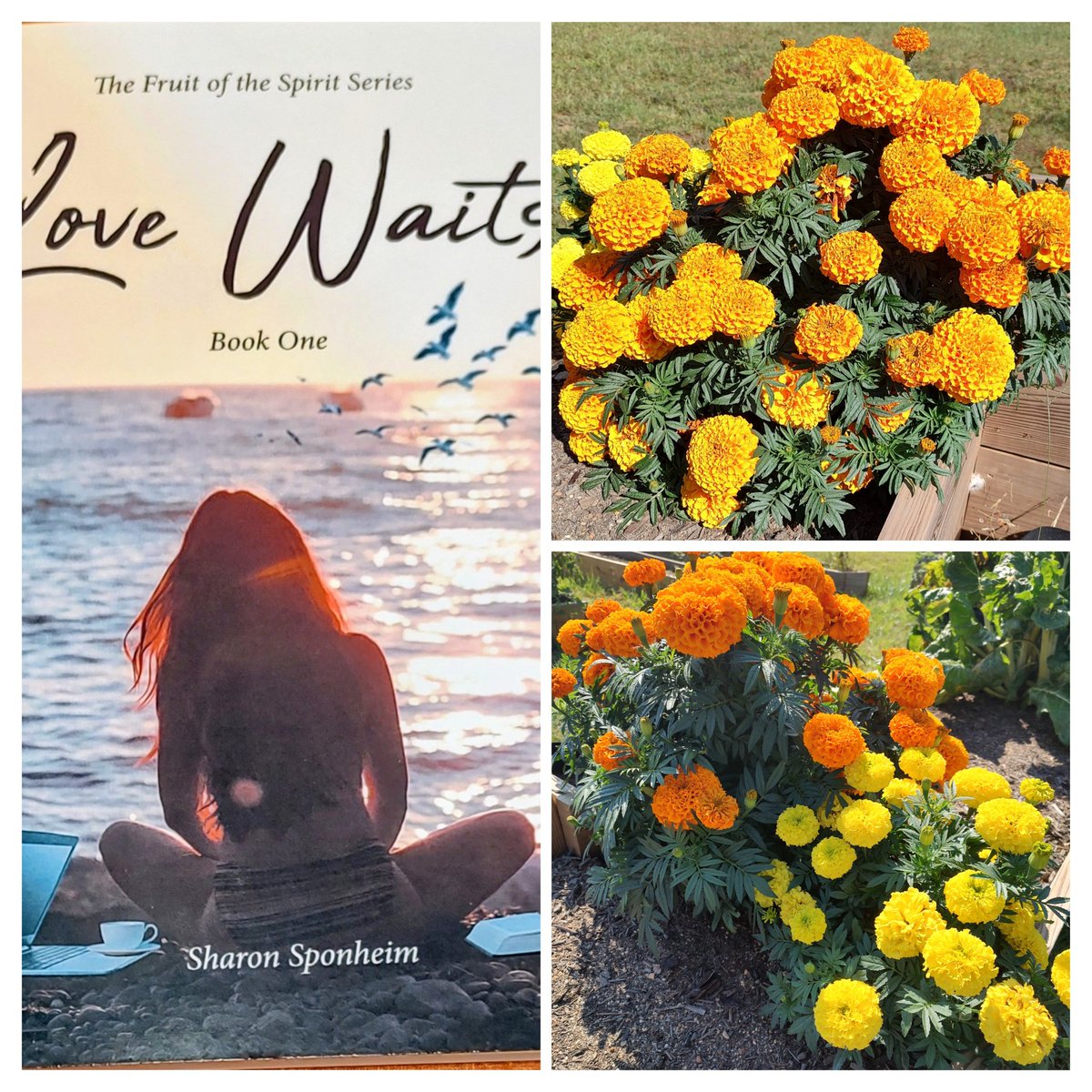 SharonSponheim's tweet image. Happy fall! 🍁 🍂 A great time to read a book. &quot;Love Waits: Book One&quot; available now in paperback &amp;amp; e-book. 
covenantbooks.com/books/?book=lo… 
#FallIntoReading #FallIntoAGoodBook #LoveWaitsBookOne
#CleanRead
#NoSpiceBooks