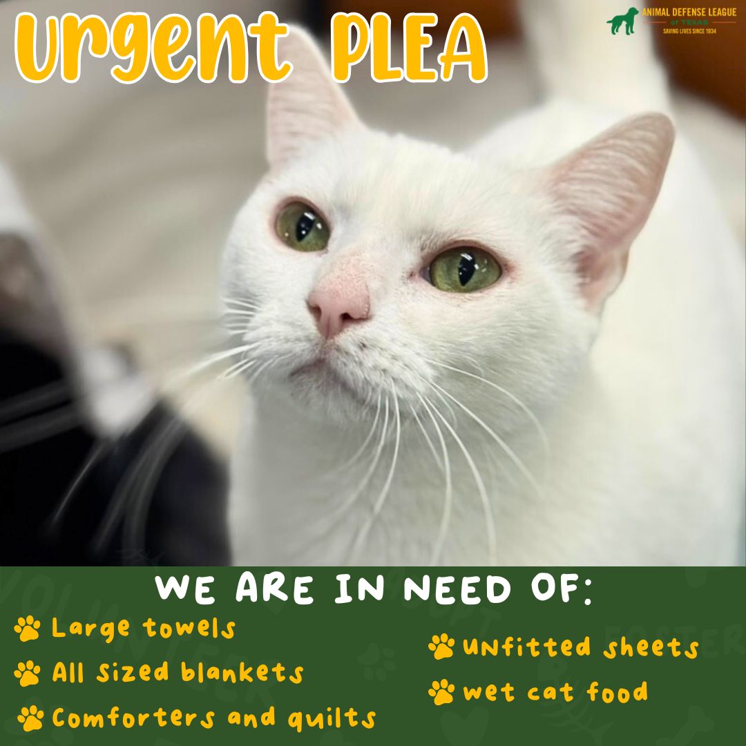 We Need Your Help! 
Donations can be dropped off at our hospital (11215 Iota Dr.) to get them to pets right away. You’re also welcome to use the donation stations at either ADL campus. Every donation helps.