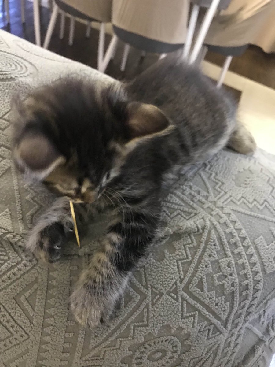 gonna stream the TBIC and Solar Skirmish event so be there type shi