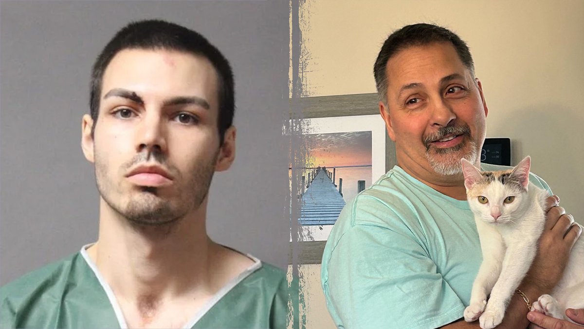 Sarah Rumpf Whitten tweet media