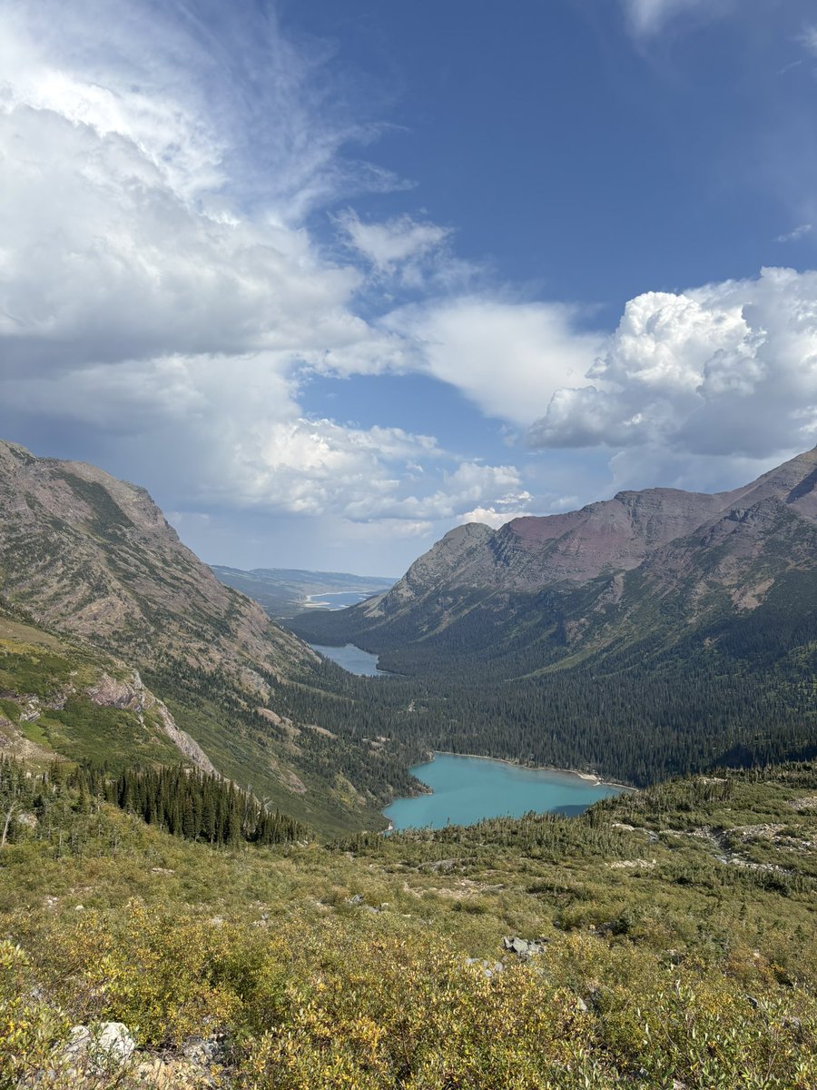 charlieb_lucy's tweet image. やっぱりGlacier National Park 好きすぎる。5回目です。