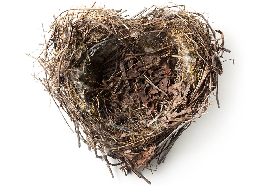 Life enters a different stage after 28 years.😭 #emptynest