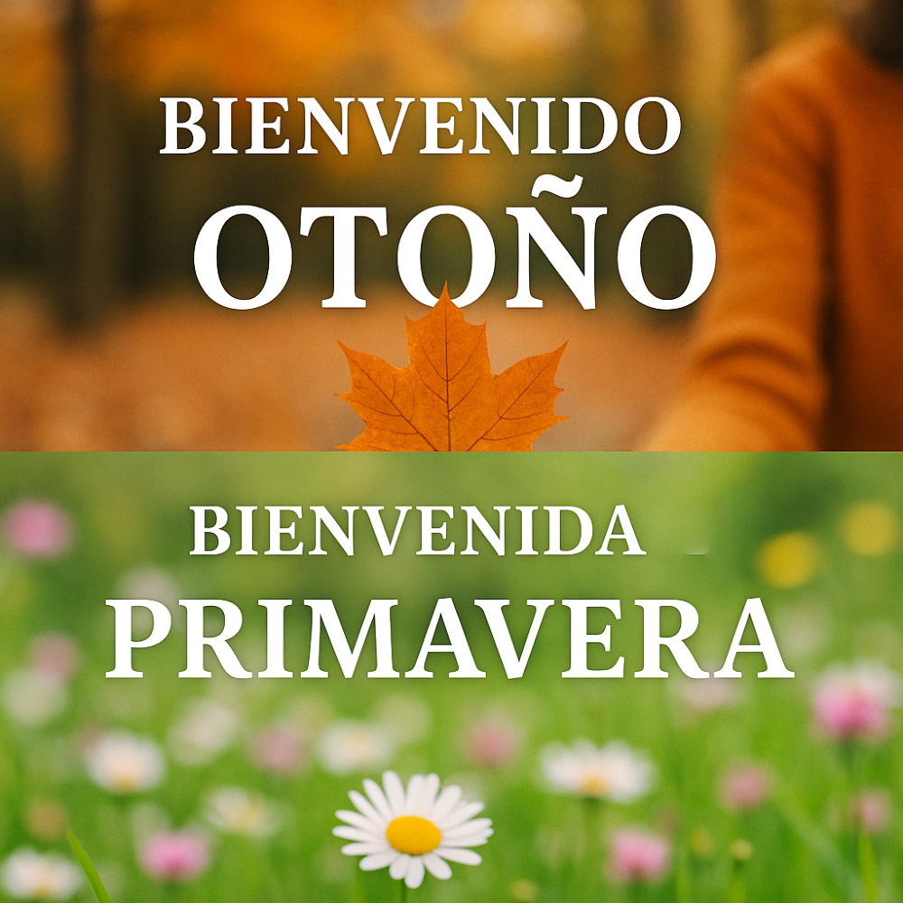Hoy el calendario nos recuerda algo hermoso: mientras en un rincón del mundo el otoño empieza a vestir de colores cálidos los días, en otro la primavera abre paso a la vida con flores nuevas. 🍂🌸