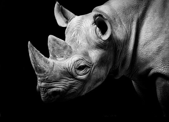 James (JM) Grey tweet media