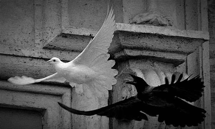 ama bir sorun vardı