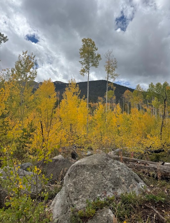 Jamie Crosbie tweet media