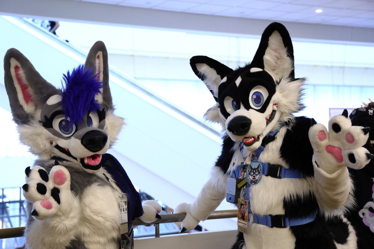 So today is International Husky Day and #MoreFurLessMonday?  What are the odds that it falls on the same day?