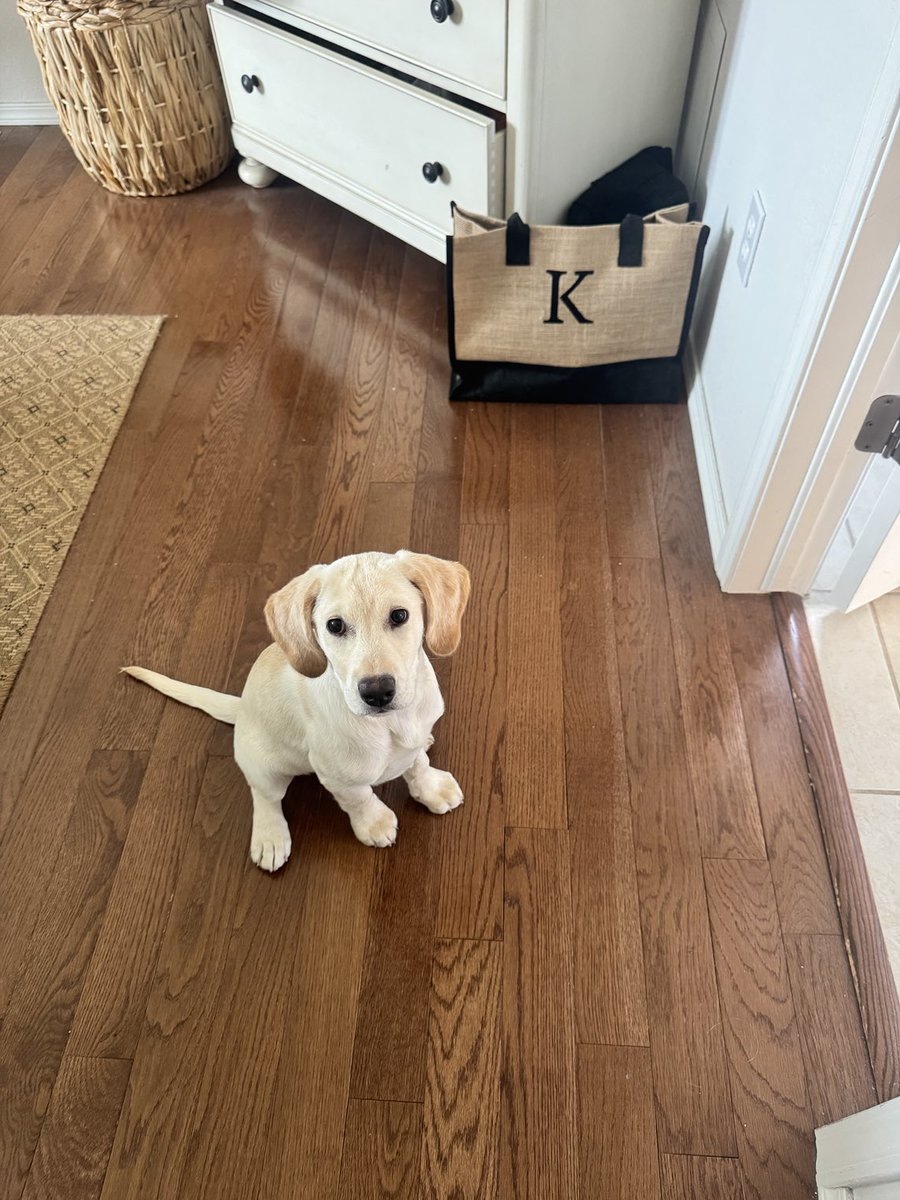 She’s so well behaved.