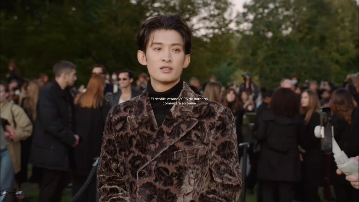 Burberry - Search / X