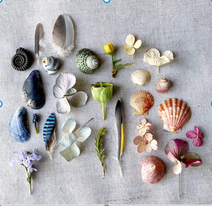 silverpebble's tweet image. I&apos;ve found an academic paper proving that making arrangements of small beautiful things like these👇 alleviates PTSD-this will be part of my collecting &amp;amp; small museums for mental health w&apos;shop Sat 4 Oct.
Recorded in full in case you can&apos;t attend the live zoom class, incl 3.5 hrs…