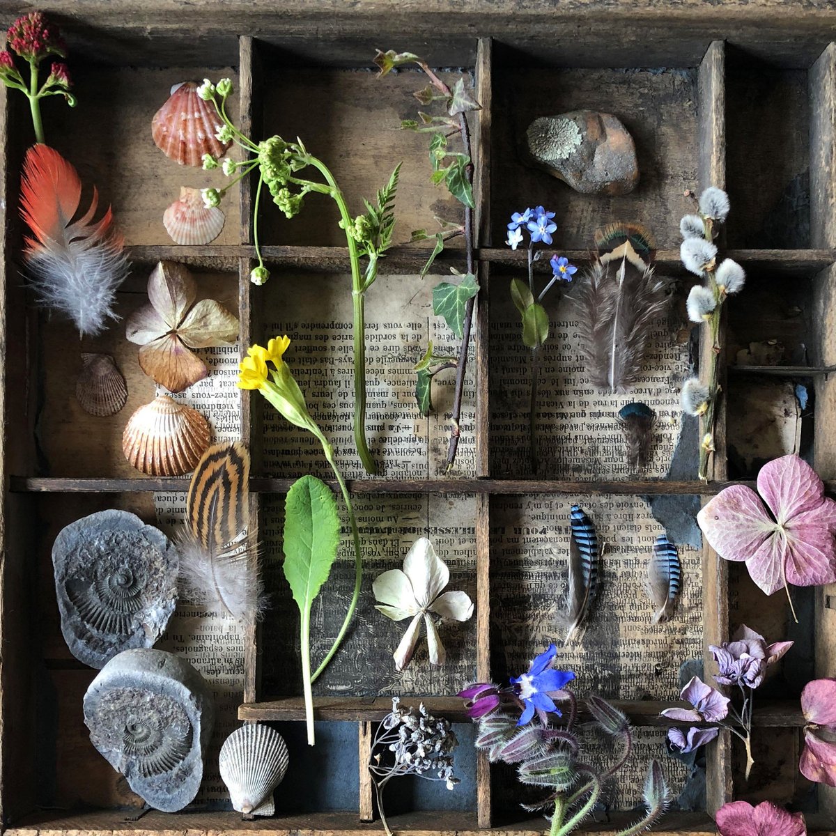 silverpebble's tweet image. I&apos;ve found an academic paper proving that making arrangements of small beautiful things like these👇 alleviates PTSD-this will be part of my collecting &amp;amp; small museums for mental health w&apos;shop Sat 4 Oct.
Recorded in full in case you can&apos;t attend the live zoom class, incl 3.5 hrs…