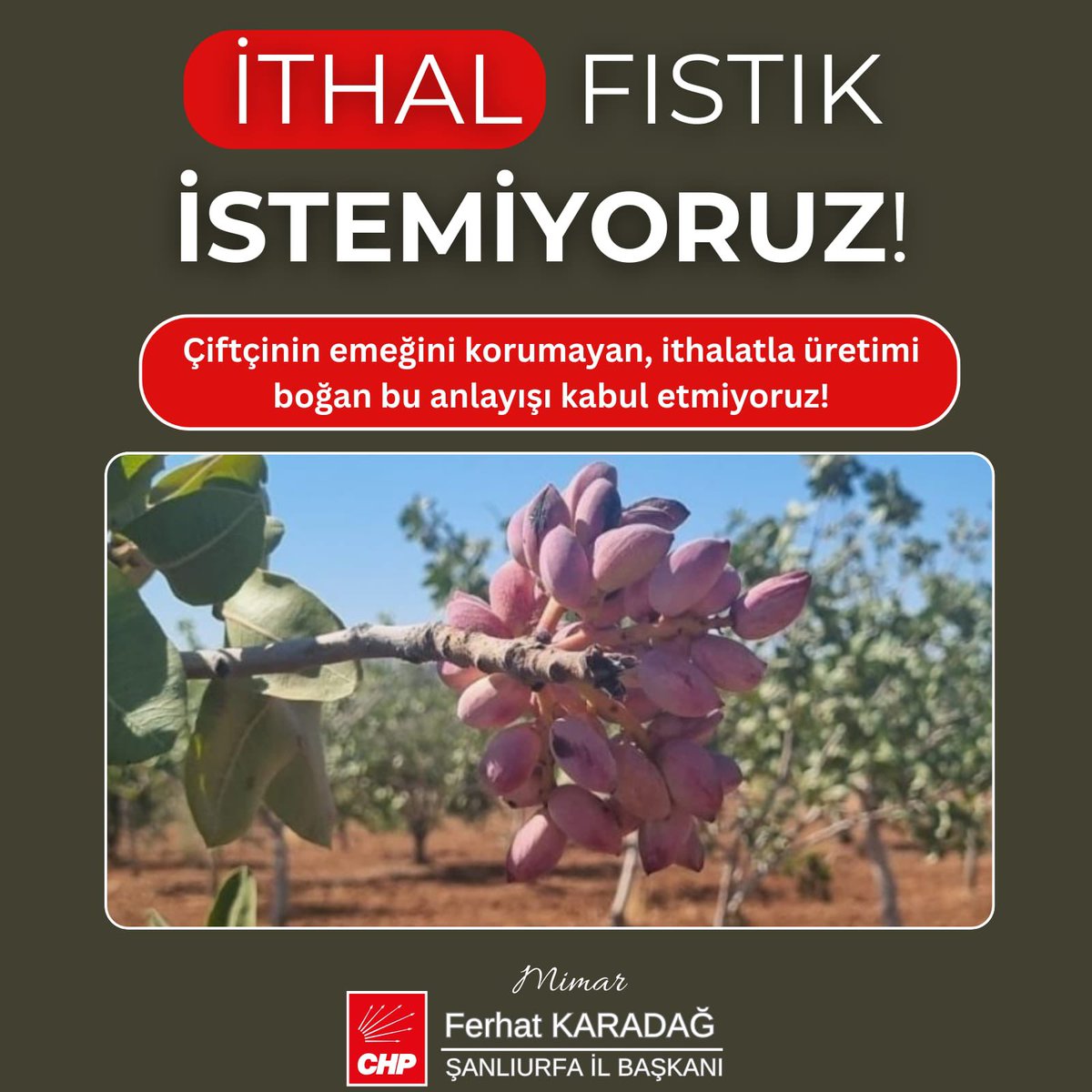 Türkiye tarım alanında kendi kendine yeten bir ülke iken, şimdi bütün ürünler ithalat ile ülkeye getiriliyor. İthalat ve ihracat tabiki olmalı ve olacaktır. Lakin çiftçi ürününü hasat ederken tam para kazanacağı zaman ithalat vergilerini sıfırlamak veya düşürmek tam anlamıyla